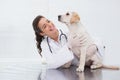 Smiling veterinarian examining a cute dog