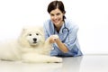 Smiling Veterinarian examining dog on table in vet clinic Royalty Free Stock Photo