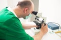 Veterinarian examining under microscope Royalty Free Stock Photo