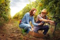 Smiling winegrower couple working together Royalty Free Stock Photo