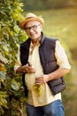 Smiling winemaker harvest the grape at his vineyard