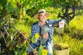 Smiling winemaker offering wine for testing in vineyard