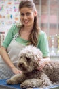 smiling woman and Barbe dog.Dog gets hair cut at Pet Spa Grooming Salon. Closeup of Dog. the dog has a haircut Royalty Free Stock Photo