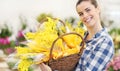 Smiling woman with basket of mimosa spring flowers, 8 March Women`s Day concept