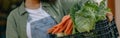 Close up of woman farmer with just harvested vegetables basket ready to sale. Agricultural concept Royalty Free Stock Photo