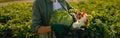 Smiling woman farmer with just harvested vegetables basket ready to sale. Agricultural concept Royalty Free Stock Photo