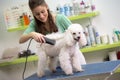 Smiling woman haircut white poodle