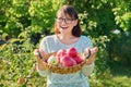 Smiling woman with harvest of ripe red apples in basket, outdoor garden Royalty Free Stock Photo