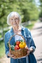 Smiling woman holding a basket of fresh organic vegetables Royalty Free Stock Photo