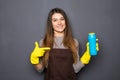 Smiling woman holding bottle of chemistry for cleaning house and pointed on isolated on grey Royalty Free Stock Photo