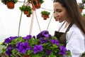 Smiling woman holding pot with beautiful violet flower. Young gardener working in a large greenhouse nursery Royalty Free Stock Photo