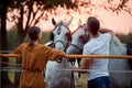 Smiling woman and men on the ranch at sunset preparing their horses for a ride Royalty Free Stock Photo