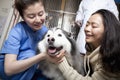 Smiling woman with pet dog and veterinarian