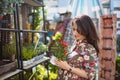 Woman shopping for flowers in garden centre variation of plants