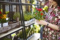 Woman shopping for flowers in garden centre variation of plants Royalty Free Stock Photo