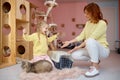 Smiling woman showing cat in cage to little bit scared cute girl child Royalty Free Stock Photo