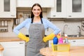 Smiling woman standing in kitchen with detegents Royalty Free Stock Photo