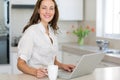 Smiling woman using laptop in the kitchen Royalty Free Stock Photo