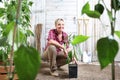 Smiling woman in vegetable garden with a plant in the pot on white wooden shed background with gardening tools Royalty Free Stock Photo