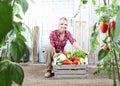 Smiling woman in vegetable garden with wooden box full of vegetables on white wall background with tools