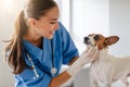 Smiling woman vet performs checkup on attentive dog Royalty Free Stock Photo