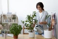 Smiling woman water green plants at office workplace Royalty Free Stock Photo