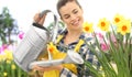 Smiling woman watering flowers at garden with watering can on daffodils, spring concept