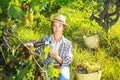 Smiling woman winegrower tasting wine in vineyard