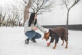 Smiling woman in winter clothes and a dressed dog play for a walk in the winter season. Happy girl and a pet fall in the snow and Royalty Free Stock Photo