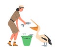 Smiling woman zoologist feeding pelican bird with fish flat style