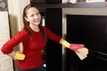 Smiling women cleaning the house Royalty Free Stock Photo