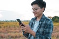 Smiling 30-year-old Asian young men using smartphone internet cellphone, mobile communications. his standing on a cornfield with Royalty Free Stock Photo