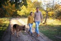 Smiling young adult love couple walking in park with their german shepherd dog, holding hands , young family portrait Royalty Free Stock Photo