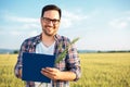 Smiling young agronomist or farmer inspecting wheat field before the harvest, writing data to a clipboard Royalty Free Stock Photo