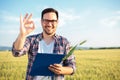 Smiling young agronomist or farmer inspecting wheat field before the harvest. Looking directly at camera, showing OK sign Royalty Free Stock Photo