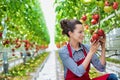 Smiling young beautiful farmer picking tomatoes in greenhouse