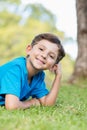 Smiling young boy lying on grass Royalty Free Stock Photo