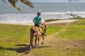 Smiling, young boy ride a pony horse. Horseback riding in a tropical garden Royalty Free Stock Photo