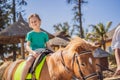 Smiling, young boy ride a pony horse. Horseback riding in a tropical garden Royalty Free Stock Photo