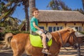 Smiling, young boy ride a pony horse. Horseback riding in a tropical garden Royalty Free Stock Photo