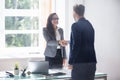 Businesswoman Shaking Hands With Her Partner Royalty Free Stock Photo