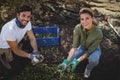 Smiling young couple collecting olives at farm Royalty Free Stock Photo