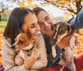 Smiling young couple with dogs outdoors in autumn park making se Royalty Free Stock Photo