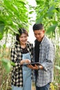 Smiling young couple farmers using digital tablet supervising the growing of plants in greenhouse