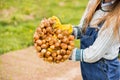 A smiling young farmer girl in a field in a denim overalls holds a bunch of onions. Planting bulbs in the ground in the