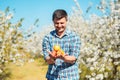 Smiling young farmer holding in hands organic apples while standing in tree garden. Man is harvesting fruits and vegetables. Eco Royalty Free Stock Photo