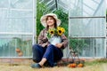 Smiling young farmer woman holds watering can with fresh sunflowers bouquet, sitting near greenhouse with just picked Royalty Free Stock Photo