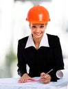 Smiling young female architect Royalty Free Stock Photo