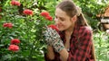 Smiling young female gardener enjoying smelling and looking at her roses in flower garden Royalty Free Stock Photo