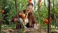 Smiling young female gardener working in garden with growing red tomatoes Royalty Free Stock Photo